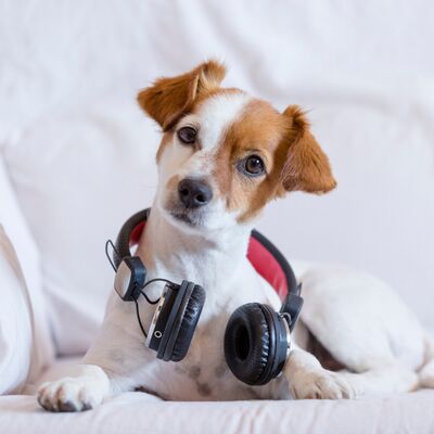 Şarkı önerisi arıyorsanız saate bakın!