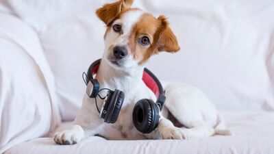 Şarkı önerisi arıyorsanız saate bakın!