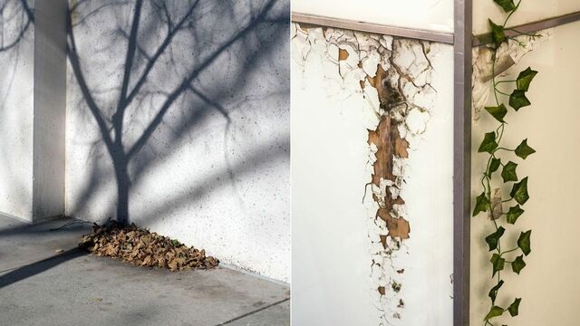 40 eğlenceli tesadüf