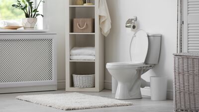 Tuvalet alışkanlıklarınız sağlığınızı bozuyor olabilir