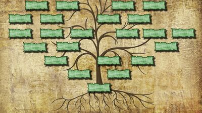 Pskojenealoji, aile mirası travmaları nasıl iyileştirir?