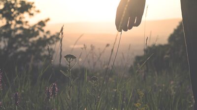 Yeni yıl kararlarınız ne kadar gerçekçi?