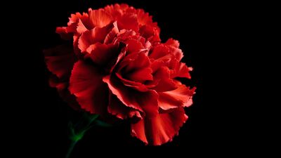 Zübeyde Hanım anılıyor