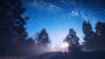 Yıldızınız bugün neler söylüyor?