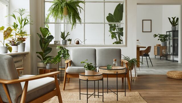 7 maddede süs bitkisi alma rehberi