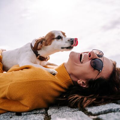 Onu daha mutlu bir köpek yapacak 5 detay