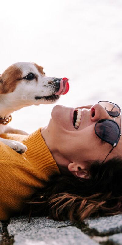 Onu daha mutlu bir köpek yapacak 5 detay