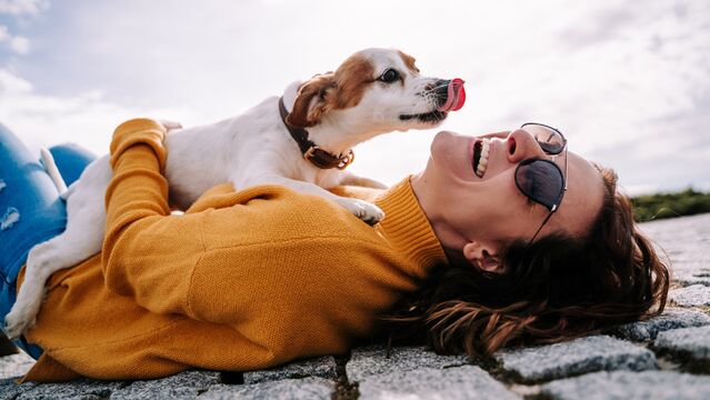 Onu daha mutlu bir köpek yapacak 5 detay