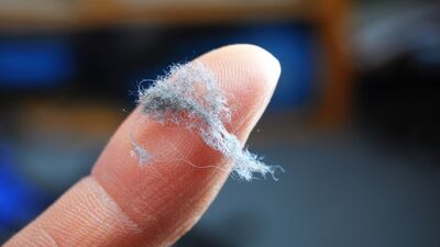 Evdeki tozlar görünür hale gelirse...