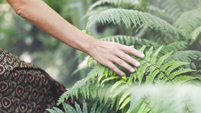 Rehber: Kabul ve kararlılık terapisi