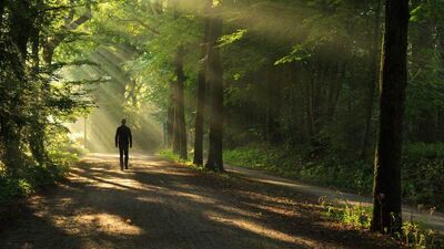 30 yıldır ormanda yaşayan adam: Oh So Seng