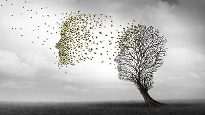 Alzheimer hastalığında hangi evrede ne olur?