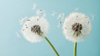 Hayatın halleri: Haklıyım - Haksızsın