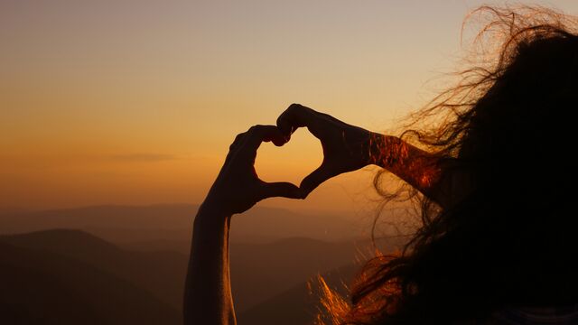 Nedir bu &#039;Manifest&#039;?