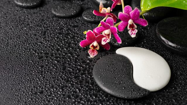 Nedir bu eril enerji, dişil enerji?