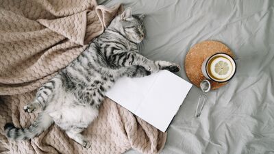 Daha kolay uyanmanın 12 yolu