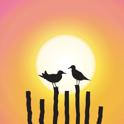 Yapıcı şekilde tartışmanın 12 yolu