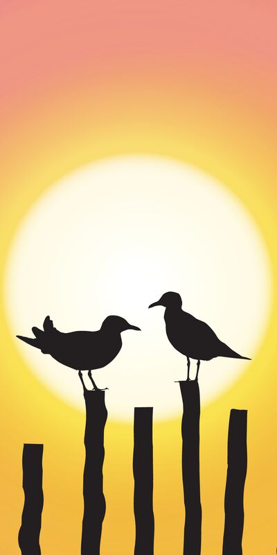 Yapıcı şekilde tartışmanın 12 yolu