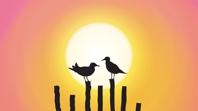 Yapıcı şekilde tartışmanın 12 yolu