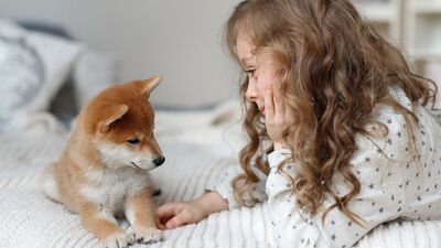 Evcil hayvan beslemenin çocuklara faydaları