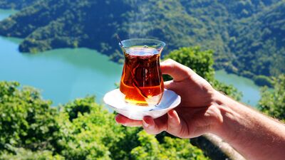 Her gün çay içerseniz…