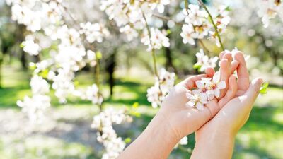 Bahar: Yenilenme ve değişim zamanı