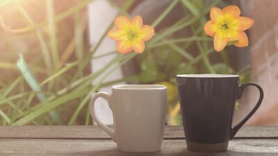 Hayatın halleri: Farklılıklarımız