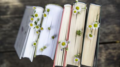 Türk şiirinin saklı hazinesi: Mefkûre