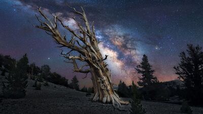 Dünyanın dört bir yanından gece manzaraları