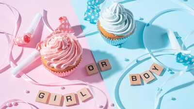 Bebek cinsiyet partisi için fikirler