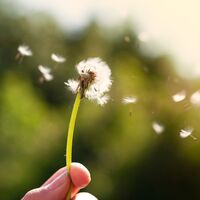 Rahatlamak için: 4-7-8 nefes tekniği