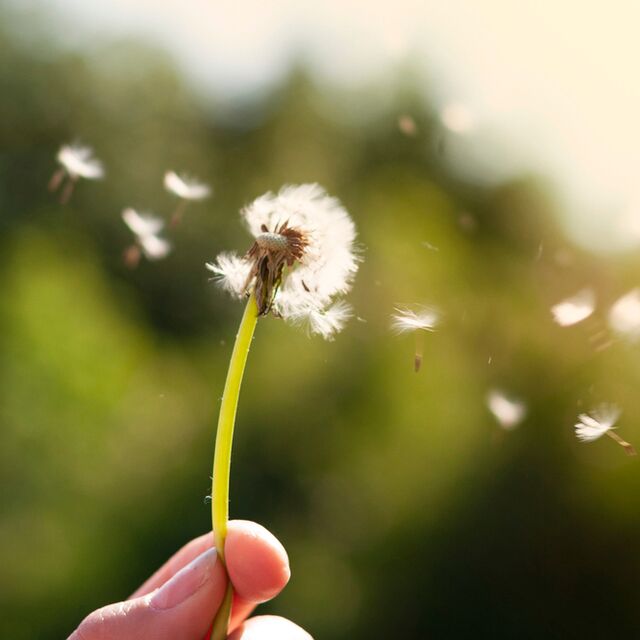 Rahatlamak için: 4-7-8 nefes tekniği