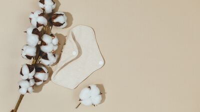 Ekolojik ped önerileri