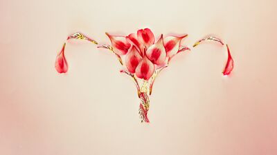 Yumurtlamayla ilgili bilmeniz gerekenler