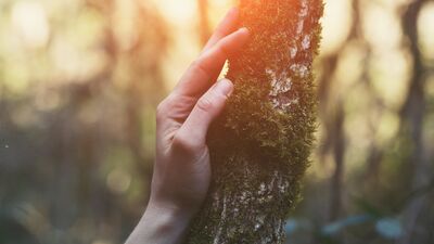 Sen değiş, dünyan değişsin