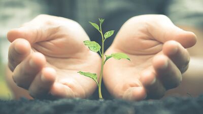 Kendimiz olamıyoruz