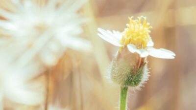 Aşırı kontrolcü olmak sizi yoruyor mu?