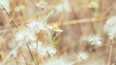 Aşırı kontrolcü olmak sizi yoruyor mu?