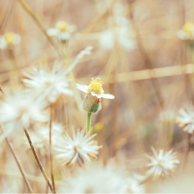 Aşırı kontrolcü olmak sizi yoruyor mu?