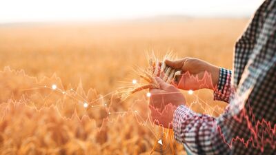 Gıda krizi şimdiden 193 milyon insanı etkiliyor