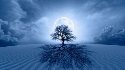 Günlük burç yorumları: 20 Mayıs Cuma