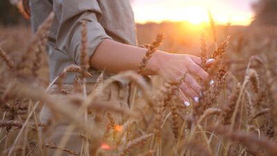 İyi karmanın 12 faydası