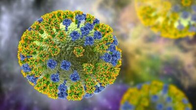 Acil durum ilan edildi: Maymun çiçeği virüsü