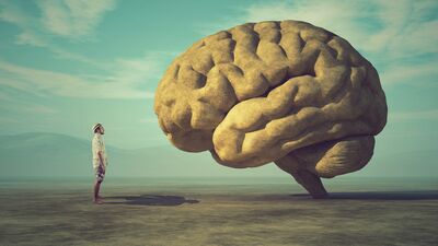 Nörofeedback terapisi nedir?