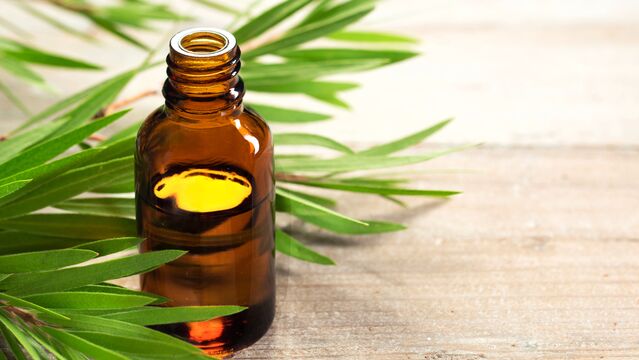 Keneleri uzak tutan doğal yağlar