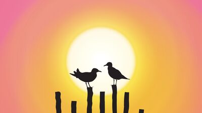 Güneş hakkında 8 ilginç bilgi