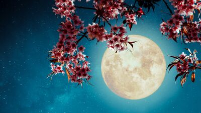 13 - 19 Haziran: Süper Dolunay haftası!