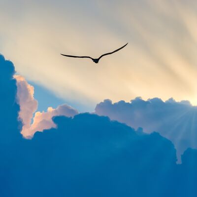 Ruhunuzun iyileştiğini nasıl anlarsınız?