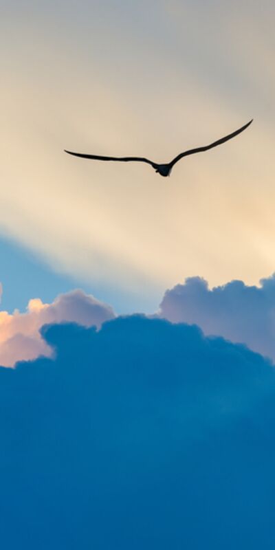 Ruhunuzun iyileştiğini nasıl anlarsınız?