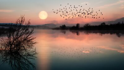 Bu Dolunay'da güç dengeleri değişecek